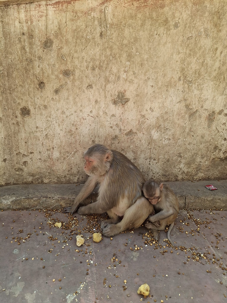 whatsapp image 2025 08 15 at 18.30.37